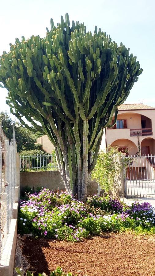 Privacy & Relax In Sardegna Bed & Breakfast Porto Conte Eksteriør bilde